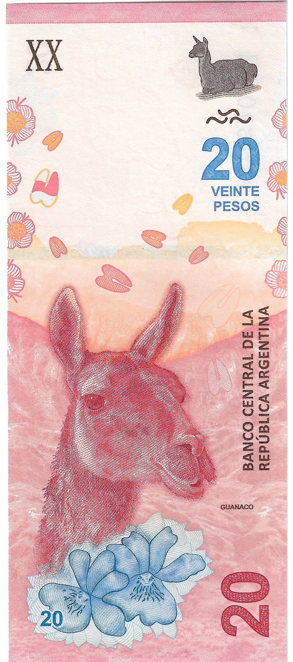 20 pesos billets amerique du sud argentine 20 pesos