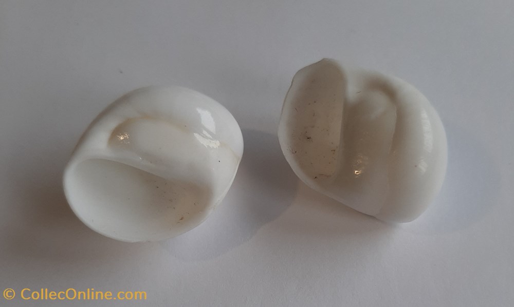 Polinices powisianus conchas y fosiles gastropoda polinices powisianus