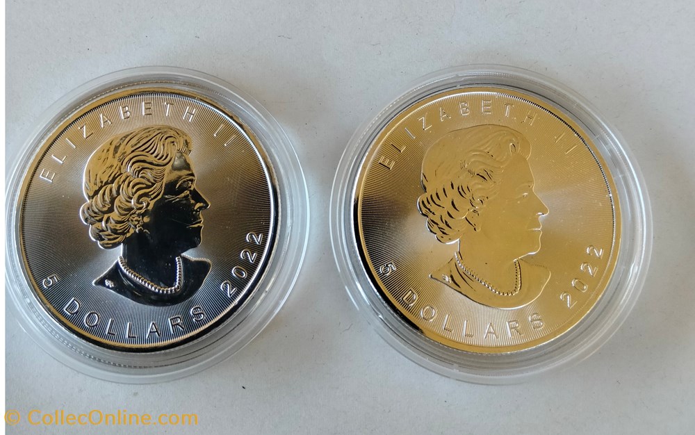 Canadá. 5 Dollars 2022 – Maple Leaf „Skull with Hornes and Dark Blue Skull - Colorized - 2 x 1 Oz monedas lingotes y bullion moneda de plata canada 5 dollars 2022 maple leaf skull with hornes and dark blue skull colorized 2 x 1 oz