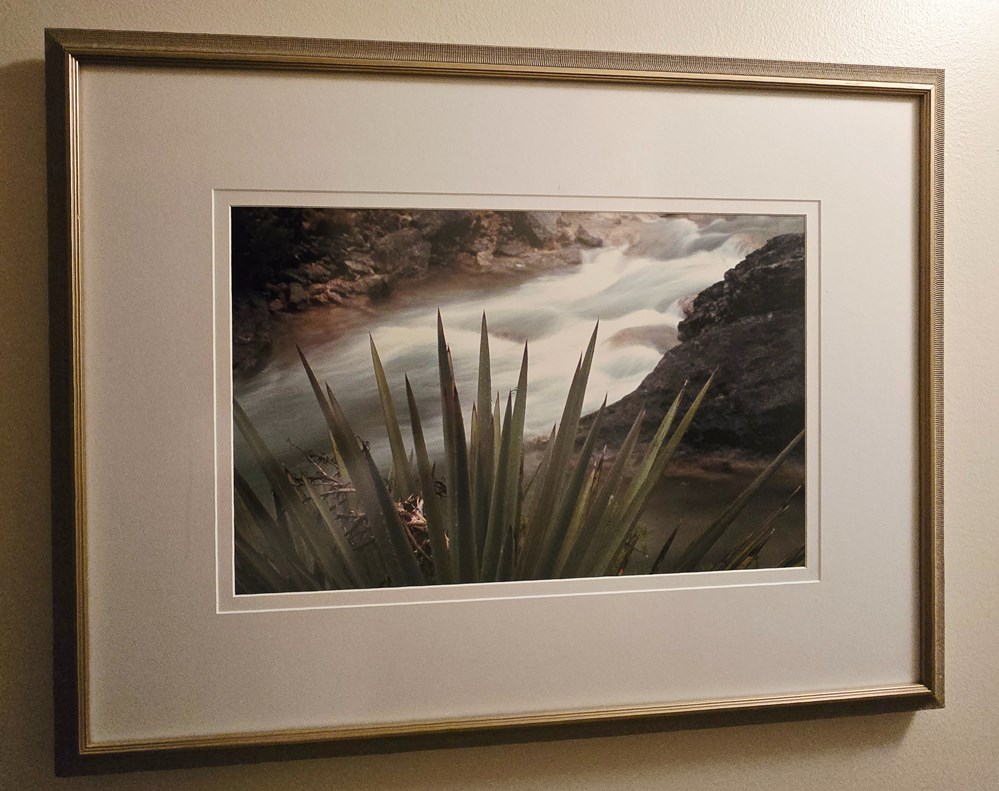 Century Plant and Stream photographs landscape century plant and stream