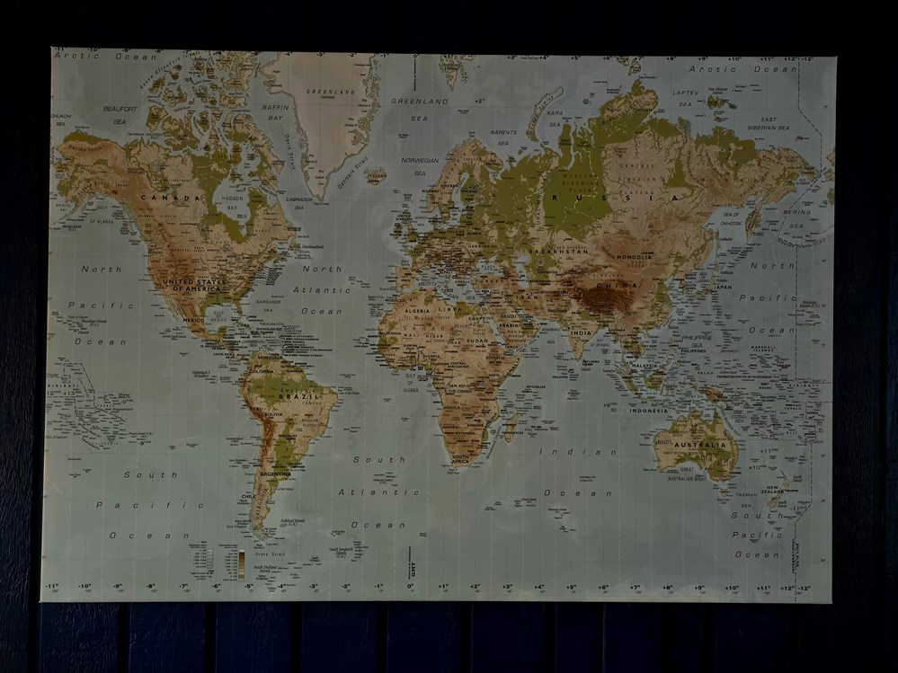 IKEA PREMIAR World Map art antiquities ikea premiar world map