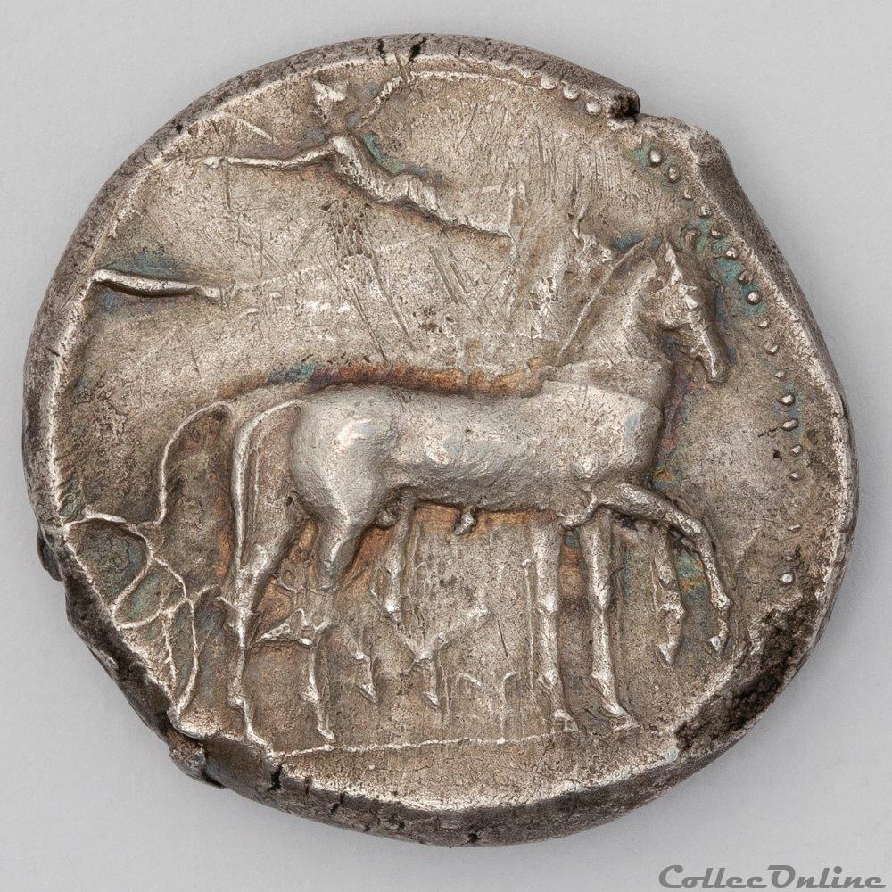 monnaie antique av jc ap grecque syracuse