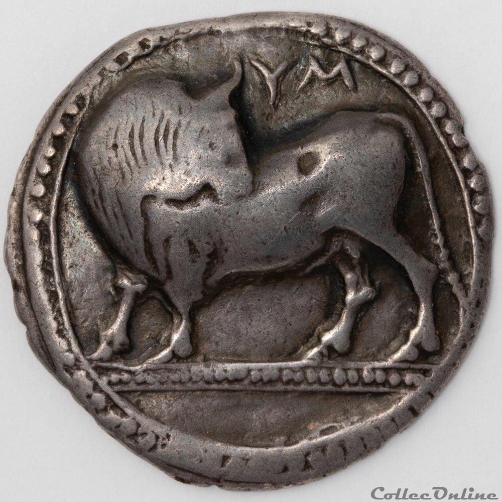 Sybaris monnaie antique av jc ap grecque sybaris