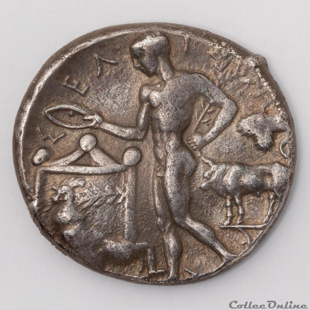 Selinonte monnaie antique av jc a ap grecque selinonte