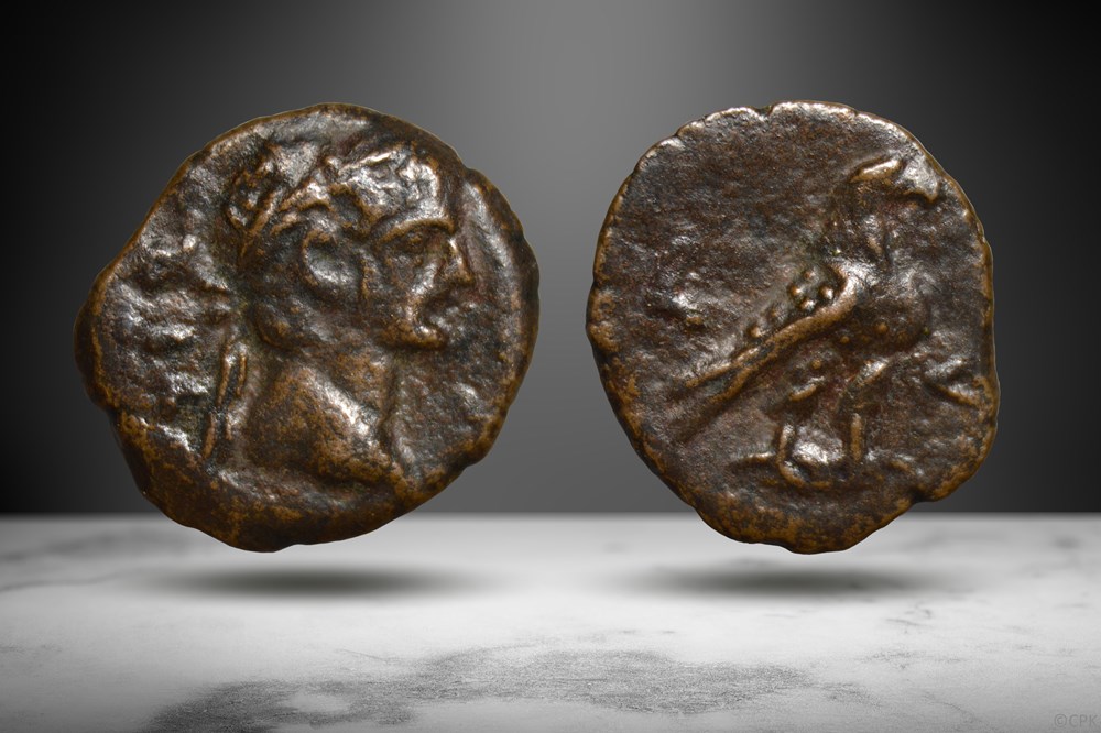 Egypt, Alexandria AE Dichalkon (Claudius/Eagle, RPC I 5171) coins ancient to romans provincial egypt alexandria ae dichalkon claudius eagle rpc i 5171