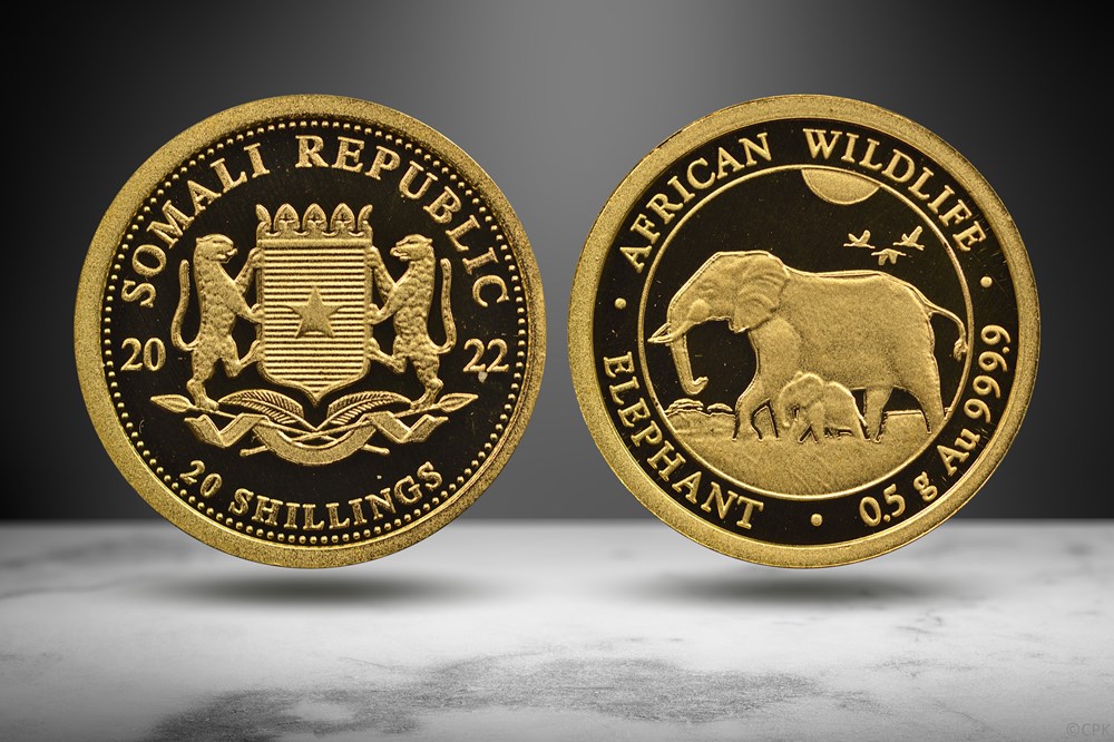 Somalia 2022 AV 20 Shillings (Elephant & calf, Numista 308443) coins world somalia 2022 av 20 shillings elephant calf numista 308443