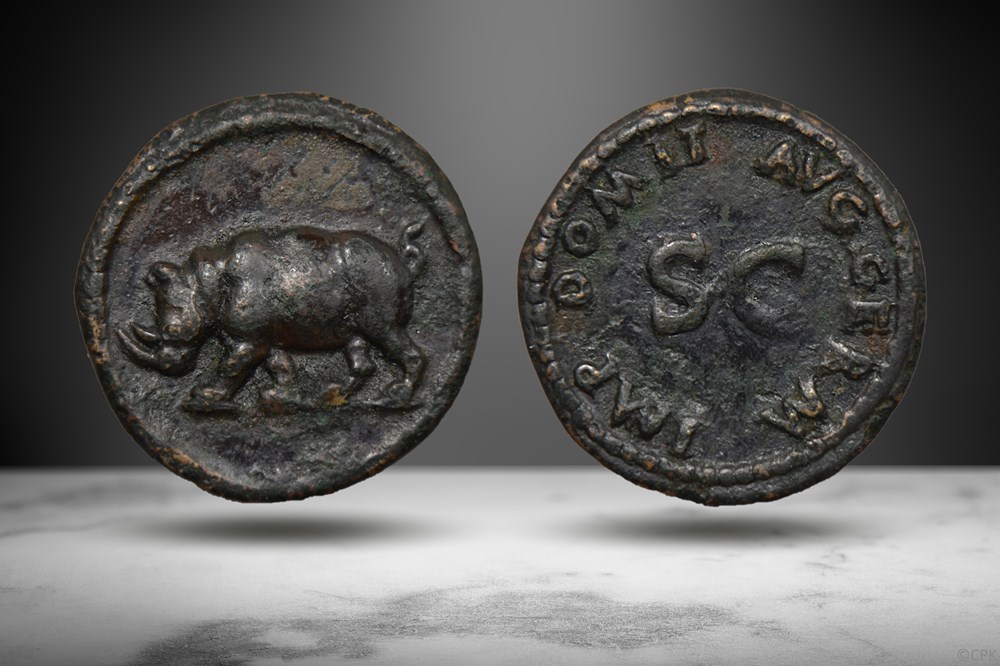 Domitian AE Quadrans (Rhinoceros, RIC II 250) coins ancient to romans imperial and republican domitian ae quadrans rhinoceros ric ii 250