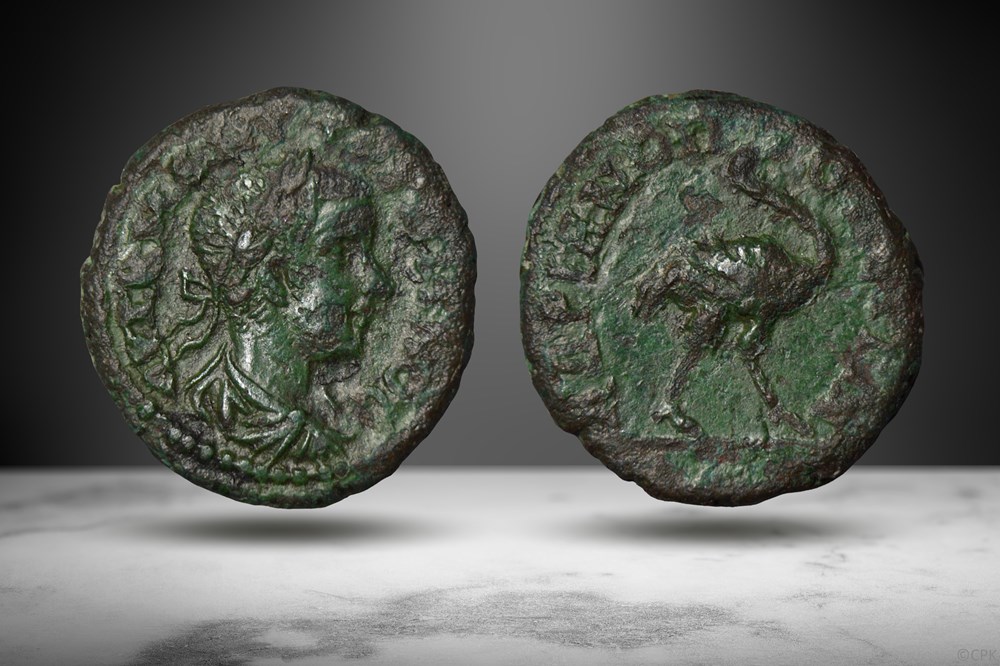 coins ancient to romans provincial thrace hadrianopolis ae gordian iii ostrich rpc vii 2 806