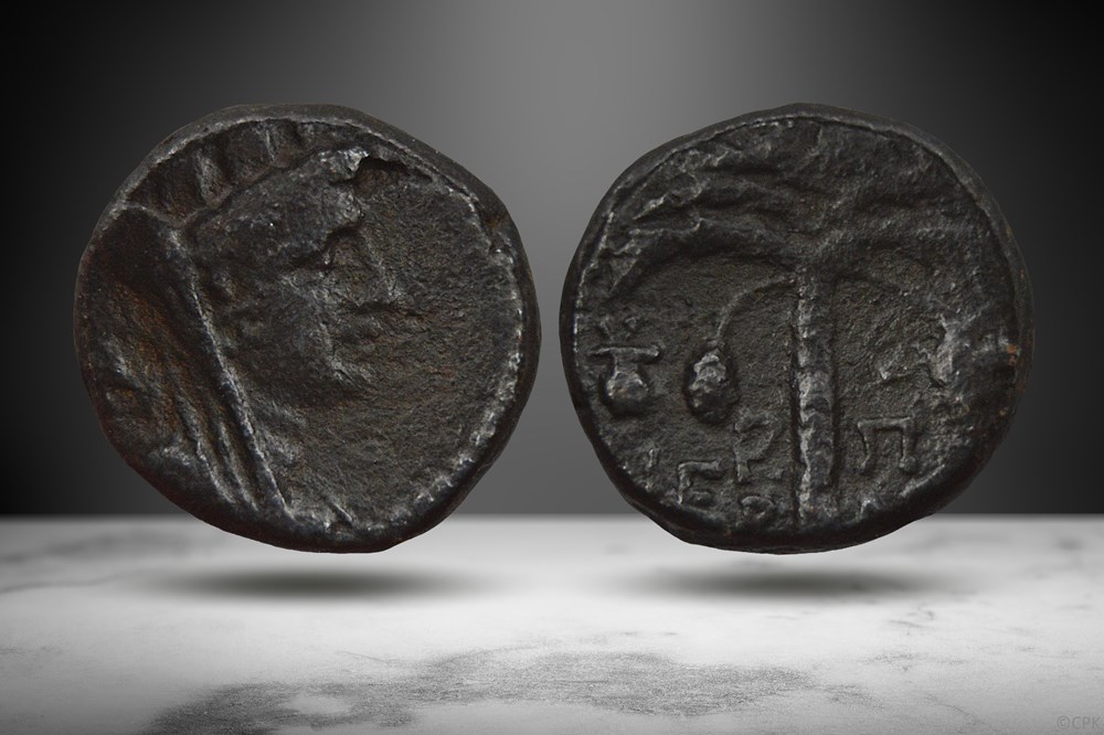 Phoenicia, Tyre AE (Tyche/Palm, RPC I 4739) coins ancient to romans provincial phoenicia tyre ae tyche palm rpc i 4739