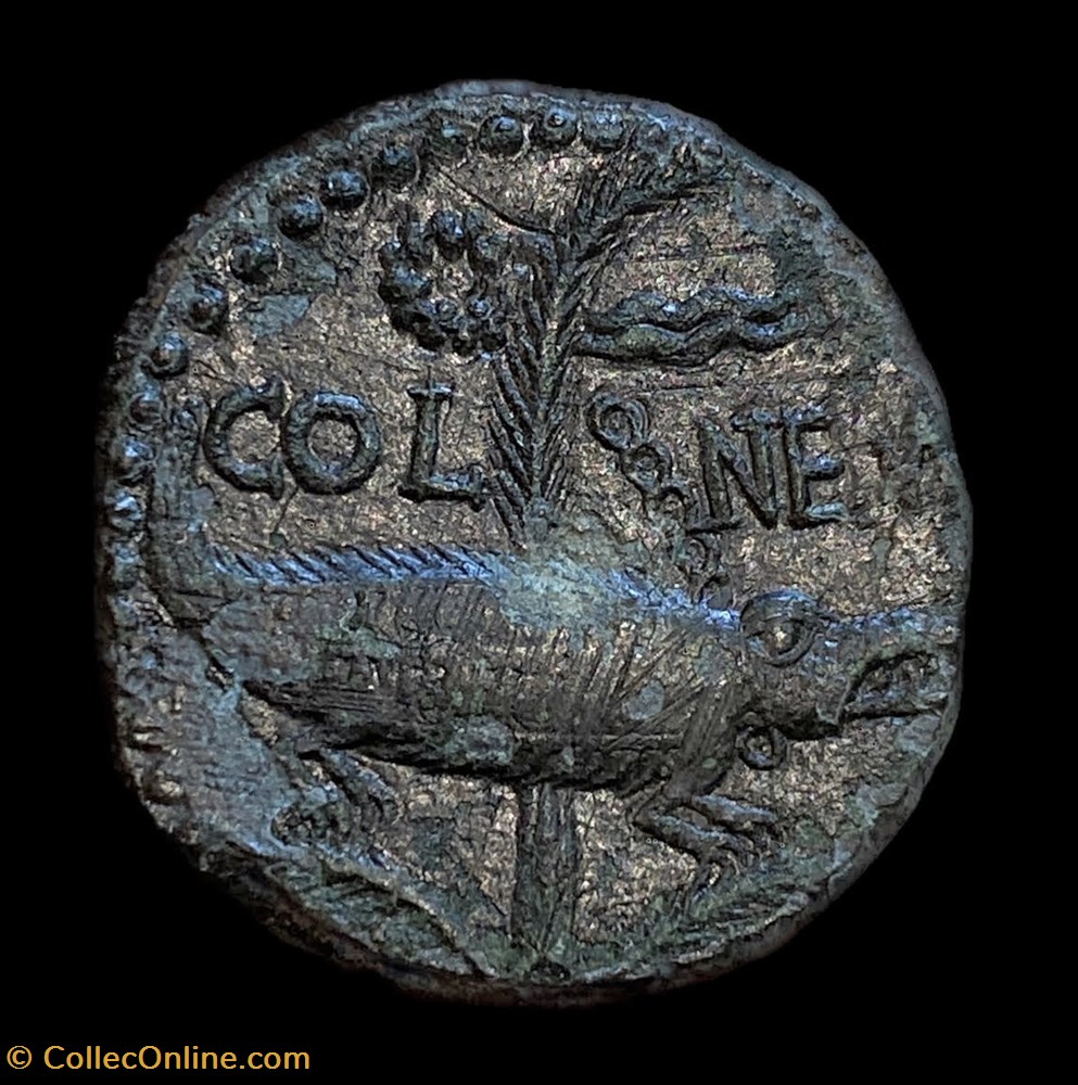 DUPONDIUS DE NIMES TYPE III monnaies antiquite av jc a ap romaines republicaines imperiales dupondius de nimes type iii