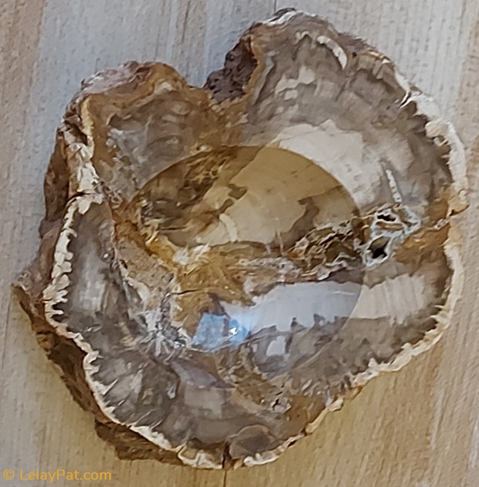 mineraux meteorite cendrier en bois silicifie