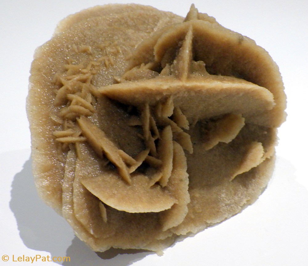 mineraux meteorites gypse selenite rose des sables