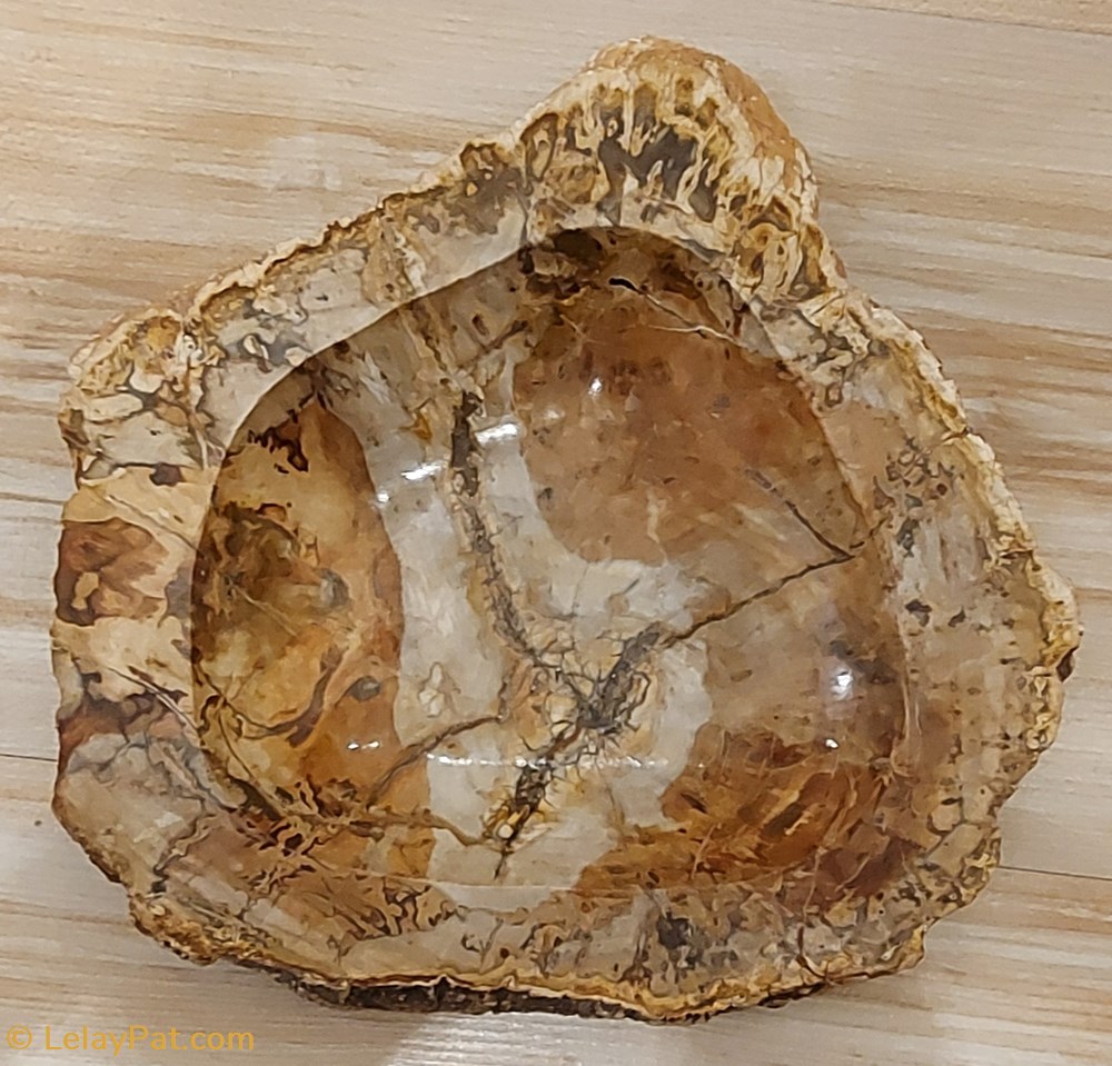 mineraux meteorite cendrier en bois silicifie