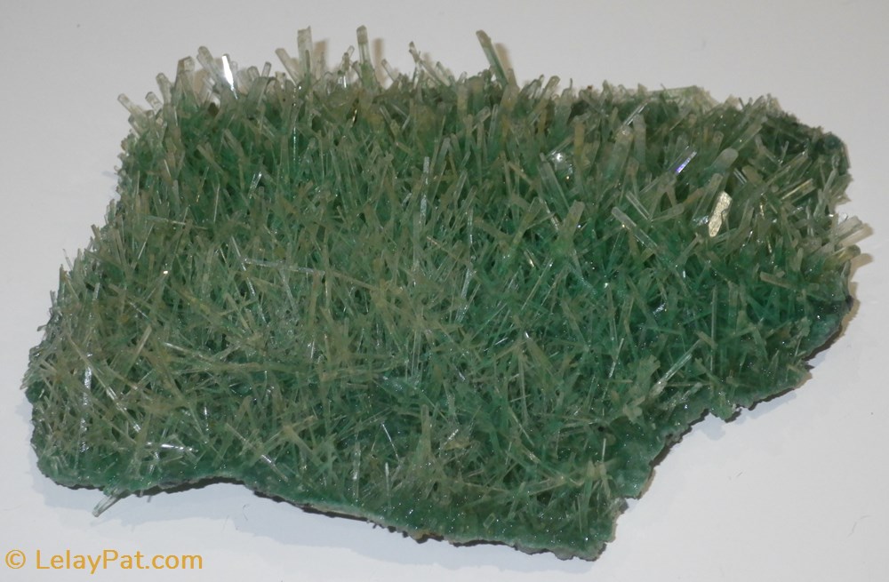 Gypse (Sélénite) buisson de cristaux vert mineraux meteorites gypse selenite buisson de cristaux vert