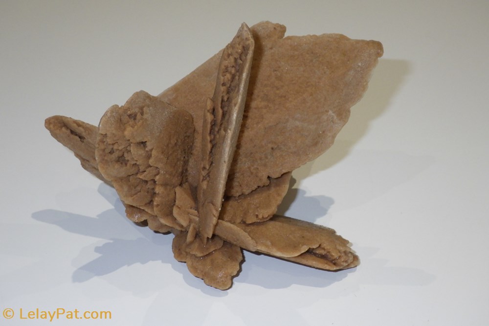 mineraux meteorites selenite rose des sables gypse