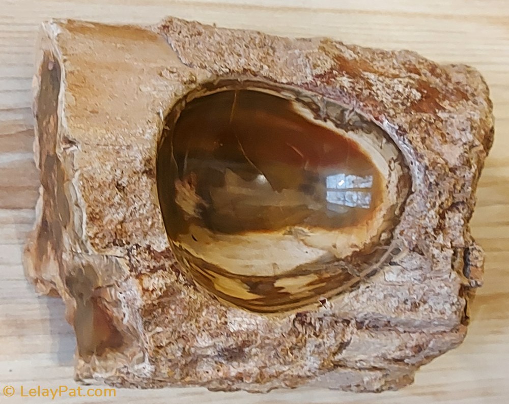 Cendrier en Bois silicifié mineraux meteorite cendrier en bois silicifie