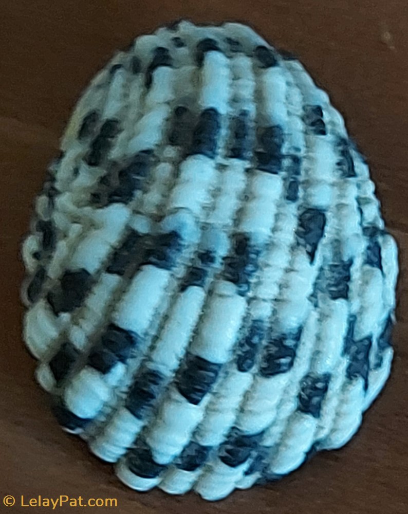 Nerita textilis coquillage fossile gastropodum nerita textilis