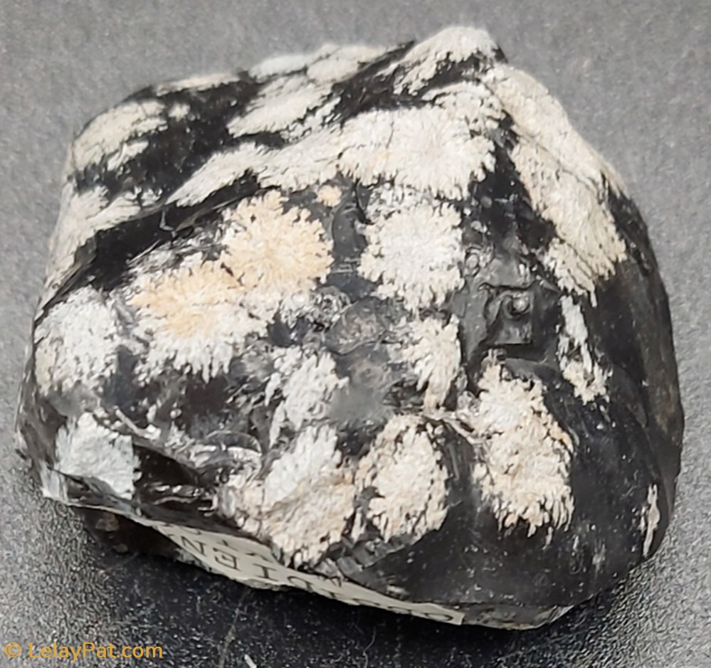 Obsidienne "Flocon de neige" mineraux meteorite obsidienne flocon de neige