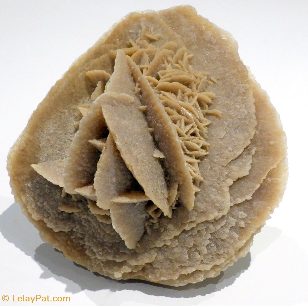 mineraux meteorites gypse selenite rose des sables