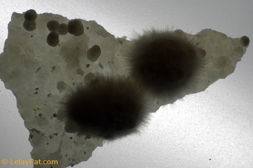 mineraux meteorites okenite