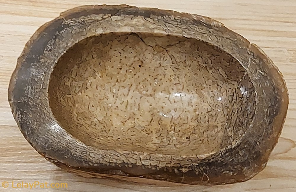 Cendrier en Os de Dinosaure silicifié mineraux meteorite cendrier en os de dinosaure silicifie