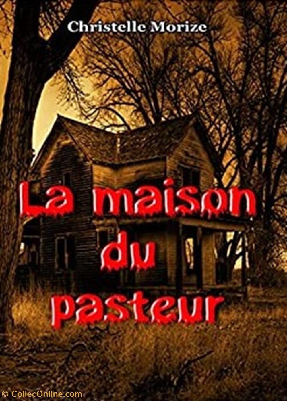 La maison du pasteur livres bd revues la maison du pasteur
