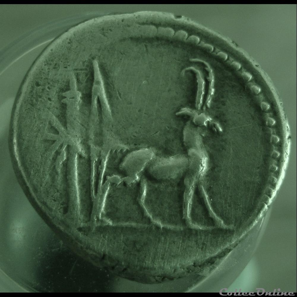 monnaie antique romaine denier plancia