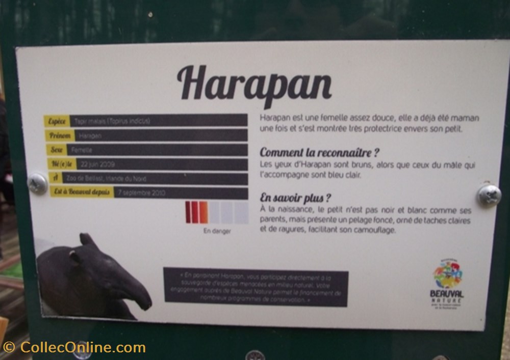 monde du vivant tapir malais