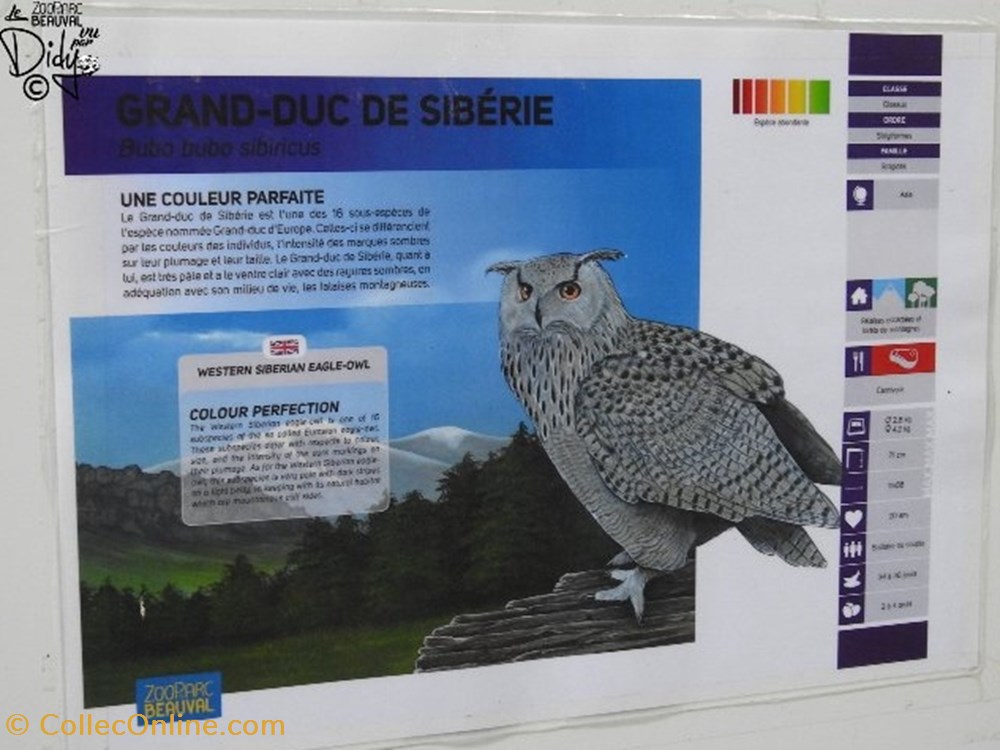 monde vivant grand duc de siberie