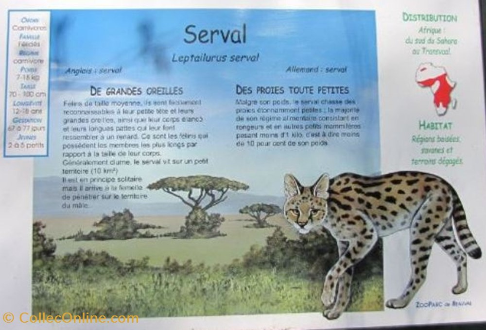 monde du vivant serval
