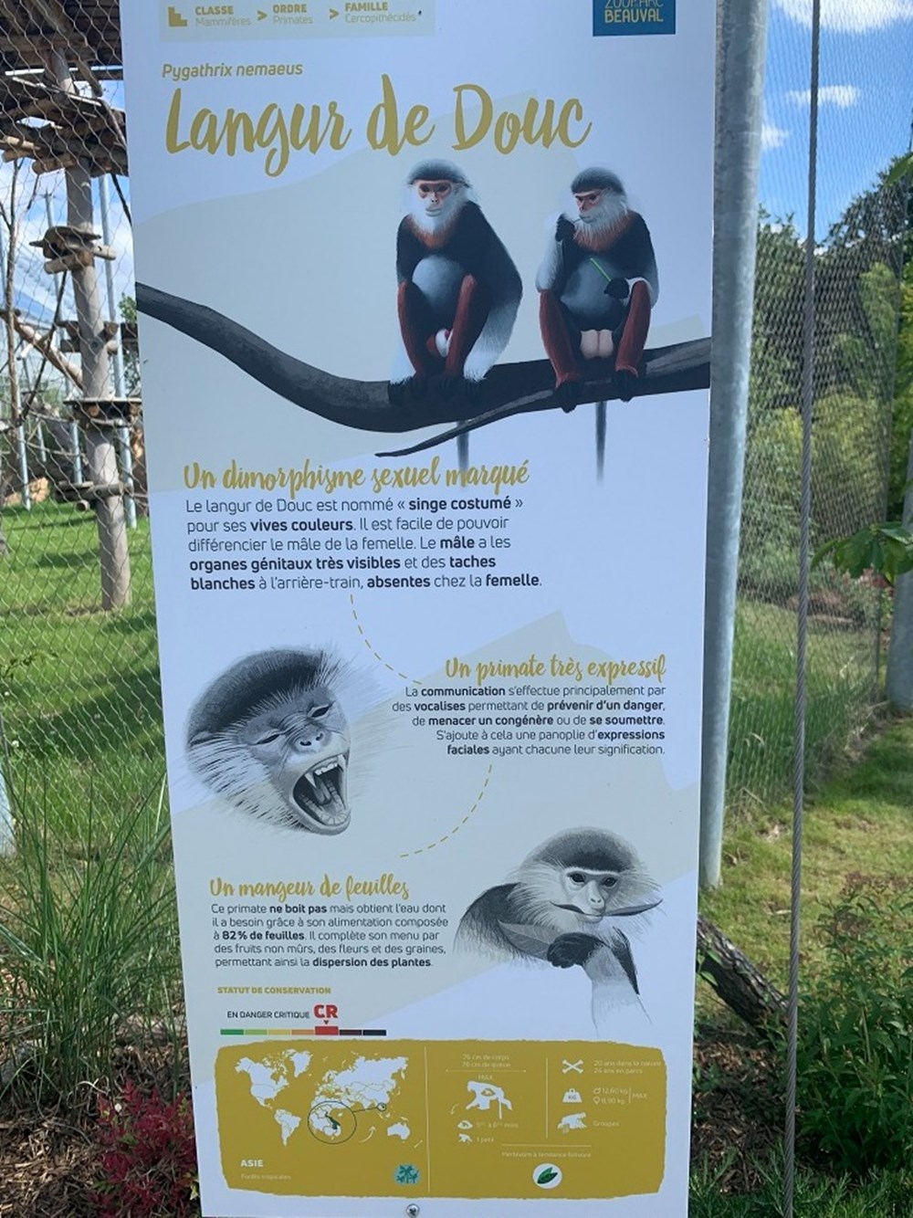 monde du vivant langur de douc