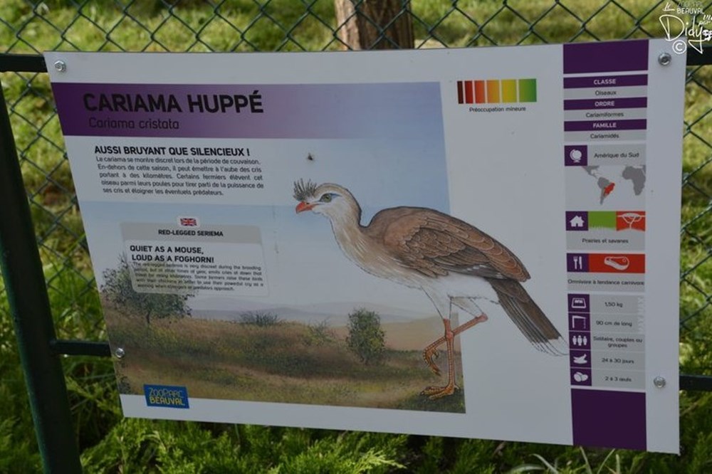 monde du vivant cariama huppe