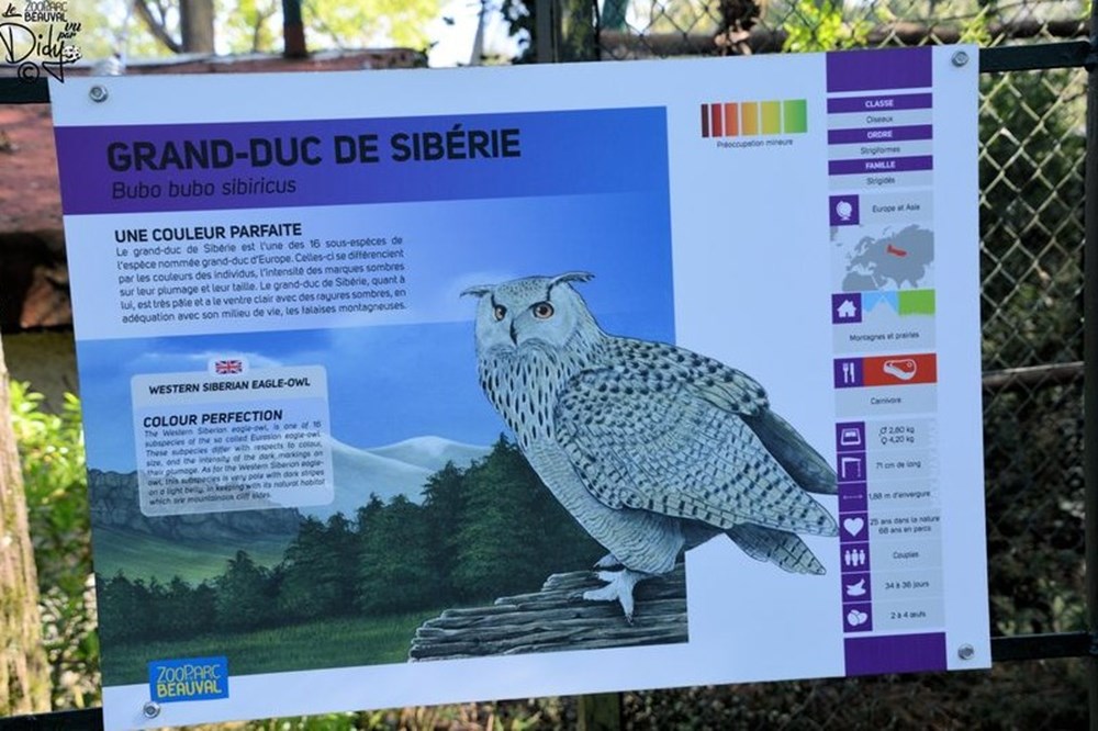 monde vivant grand duc de siberie
