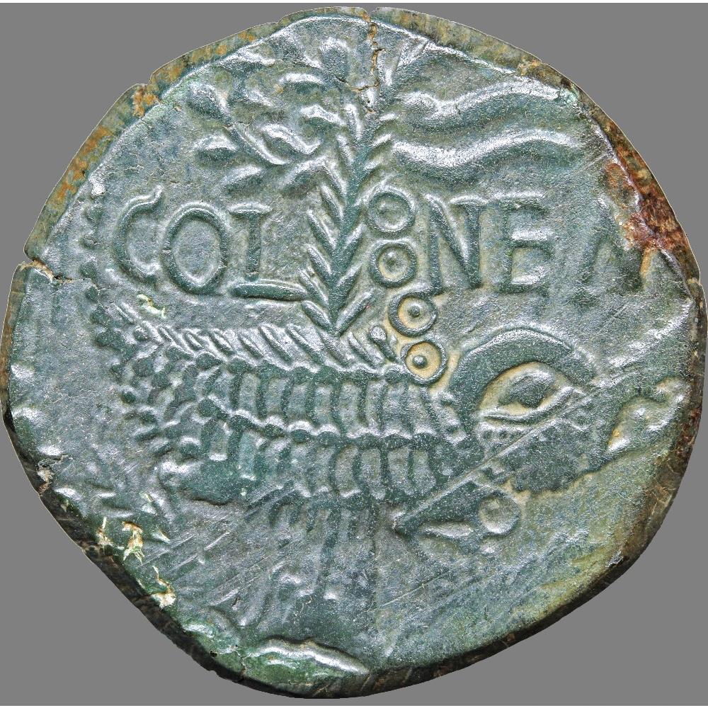 monnaie antique romaine auguste et agrippa dupondius nimes type 3