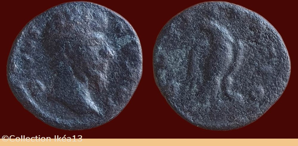 DIVVS VERVS / CONSECRATIO monnaies antiques romaines imperiales et republicaines divvs vervs consecratio