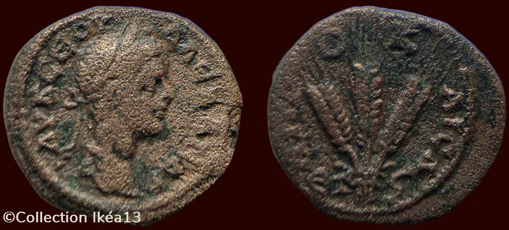 ΑΥ Κ ϹƐΟΥ ΑΛƐΞΑΝΔP / ΜΗΤΡO ΚΑΙϹΛ monnaies antiques a romaines provinciales p o