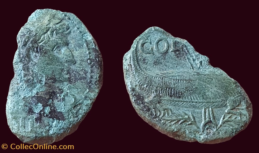 Dupondius COL NEM, coupé (Portrait d'Auguste-groupe 4) monnaies antiques romaines imperiales et republicaines dupondius col nem coupe portrait auguste groupe 4