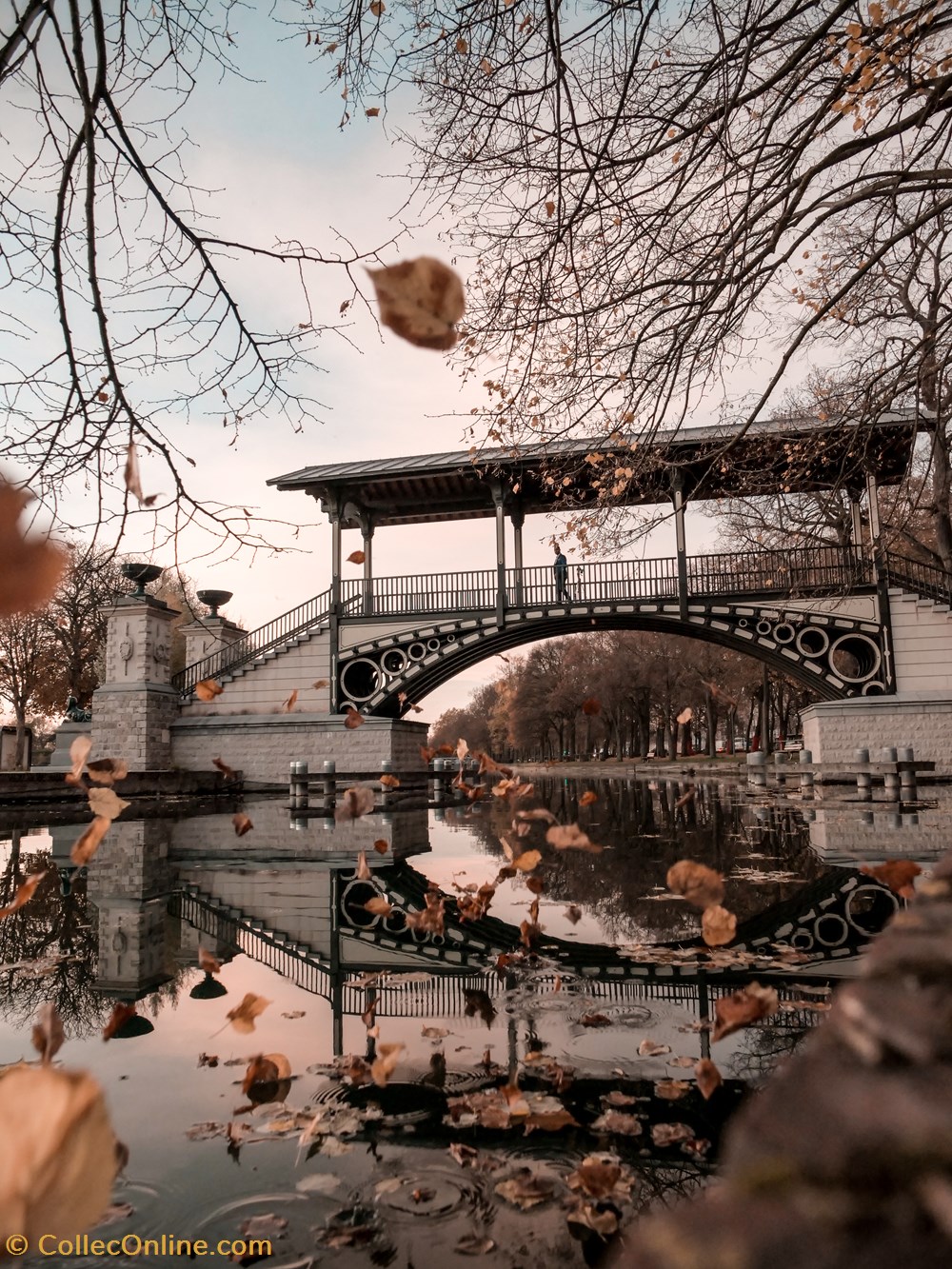 photographies pont en automne