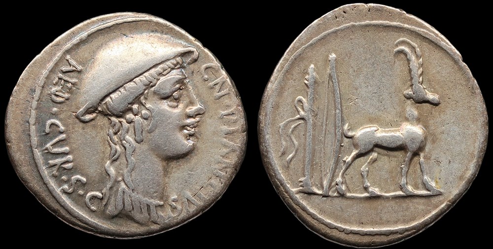 monnaies antiques romaines imperiales et republicaines 396 republique plancia cn us plancius