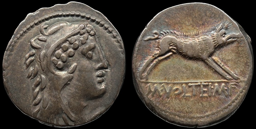monnaies antiques romaines imperiales et republicaines 313 republique volteia marcus volteius