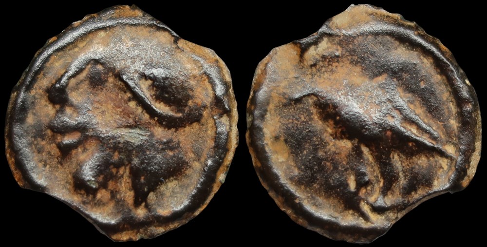 Bituriges Cubes (incertaine), potin au corbeau monnaies antiques celtes bituriges cubes incertaine potin au corbeau