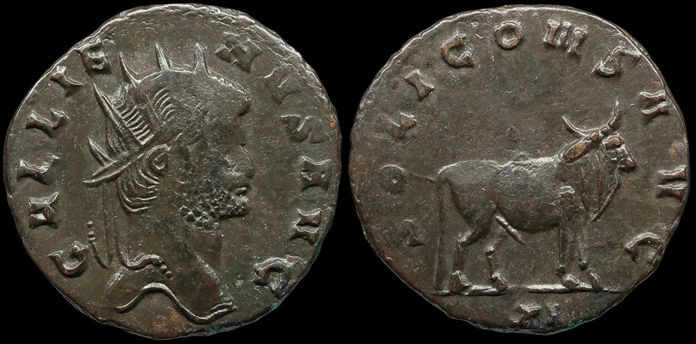 monnaies antiques romaines imperiales et republicaines sol taureau a droite