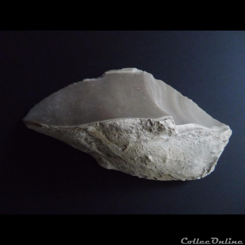 mineraux silex