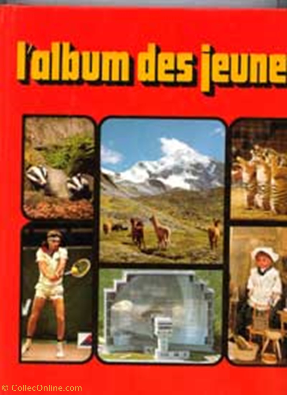 livres bd revues album1982