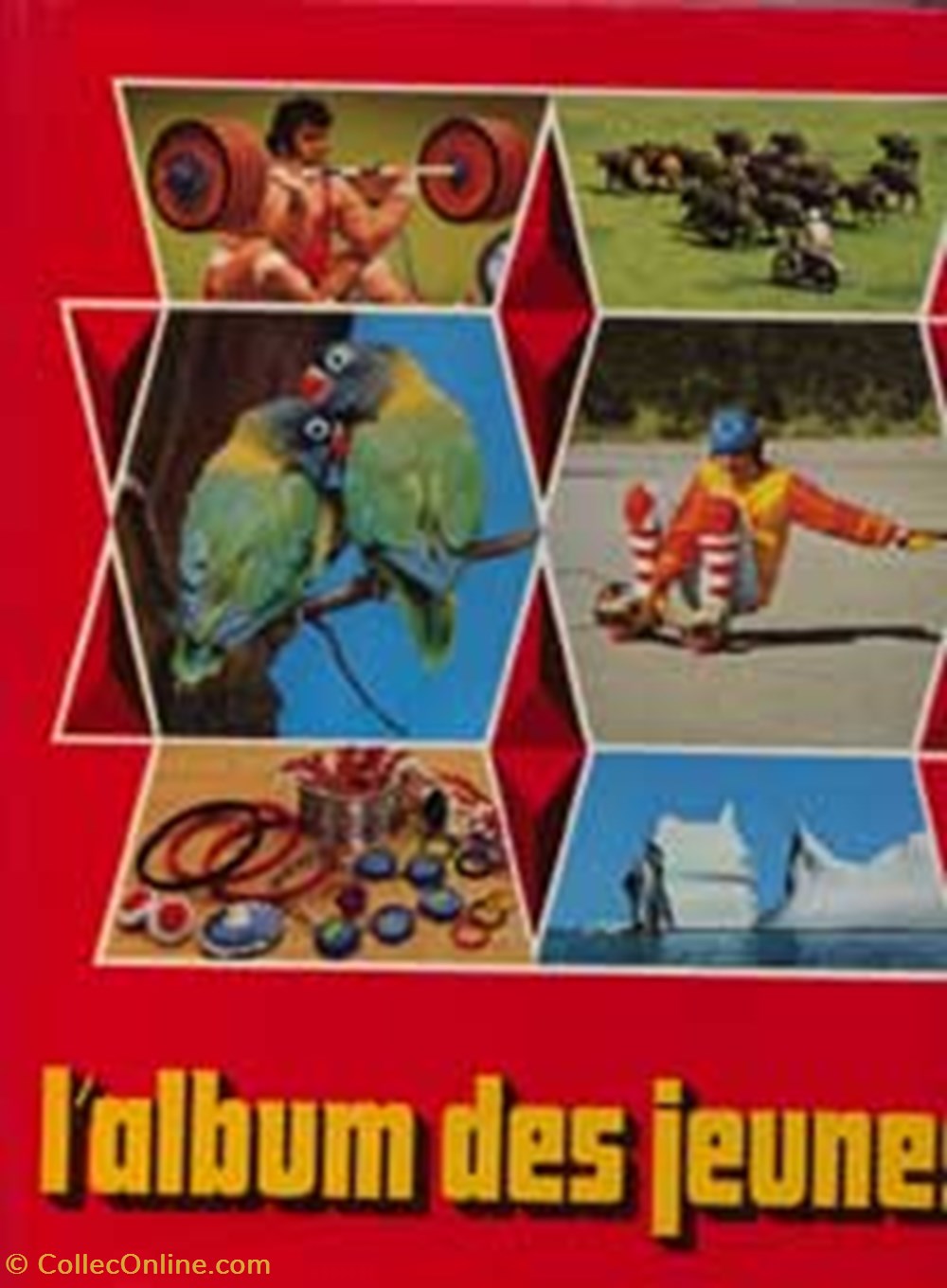 album1979 livres bd revues album1979