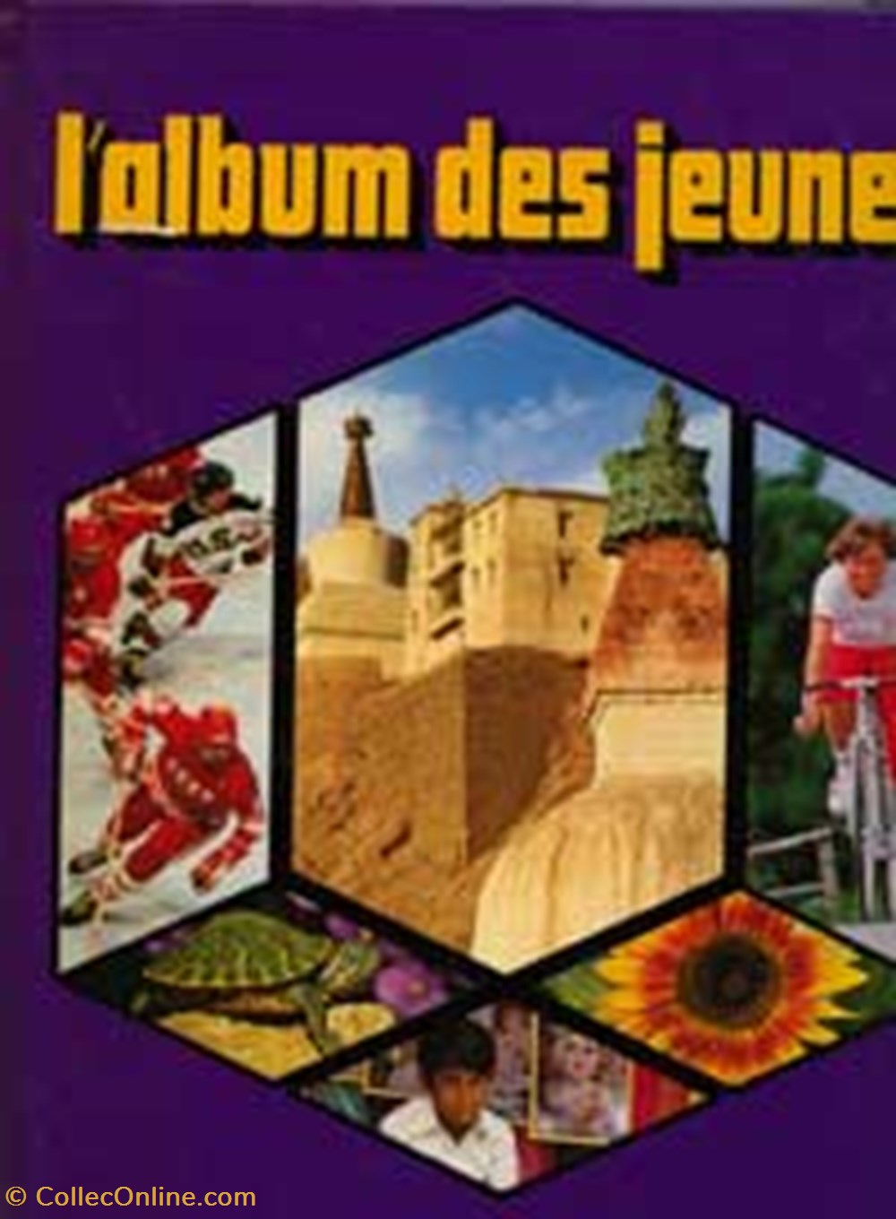 livres bd revues album1981