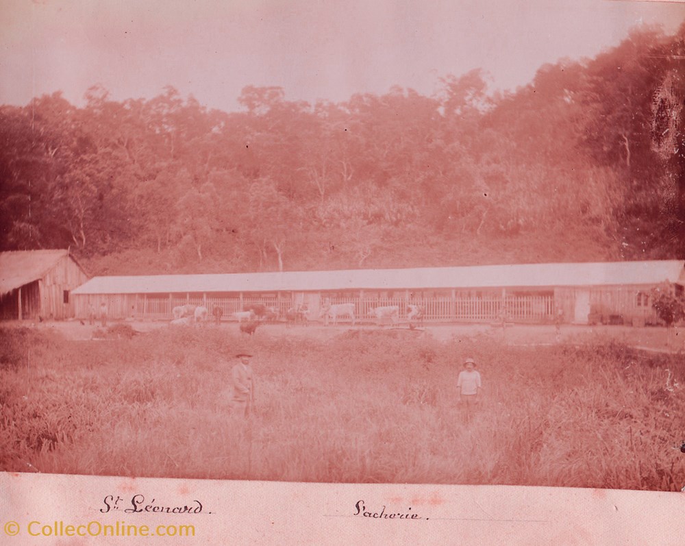 Album photo 68-St Léonard vacherie photographies histoire 68 st leonard vacherie