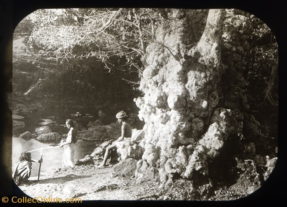 Plaque photographique 27 photographies histoire plaque photographique 27