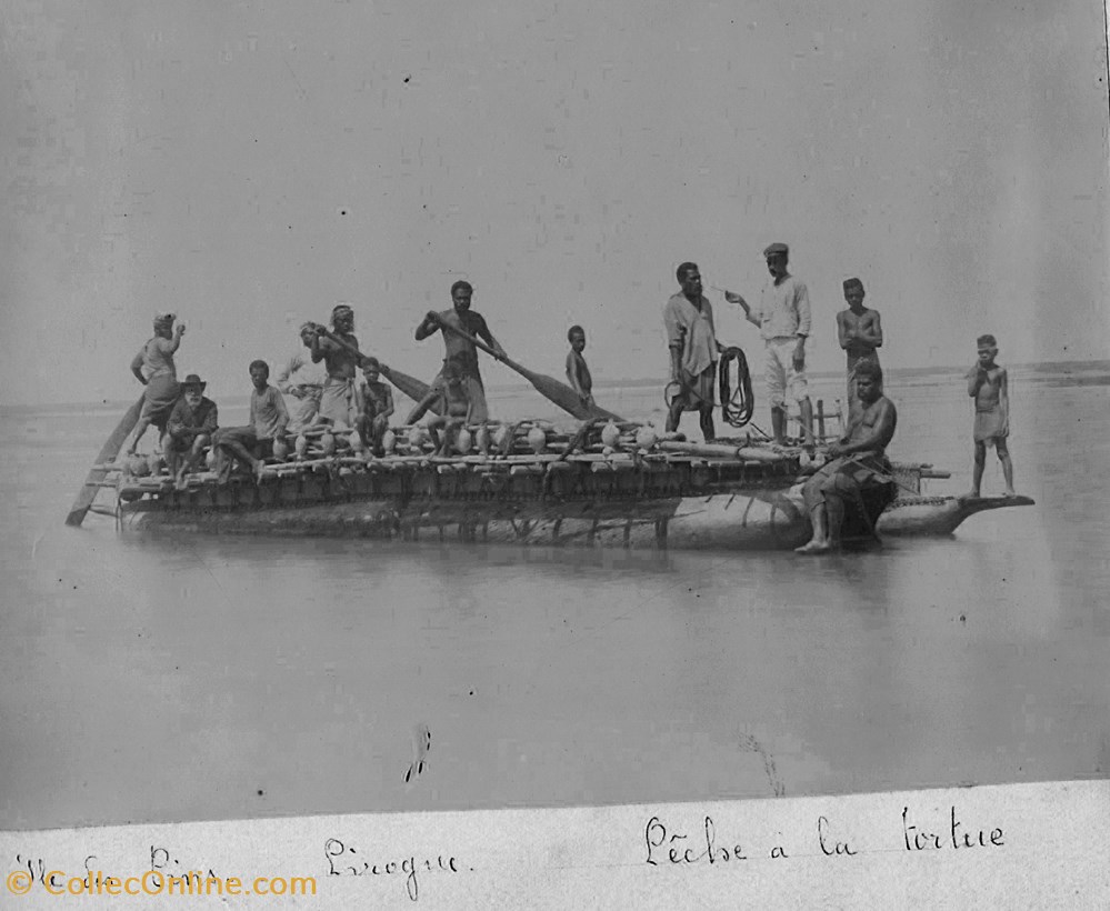Album photo 25-Ile des Pins Tortue photographies histoire 25 ile des pins tortue