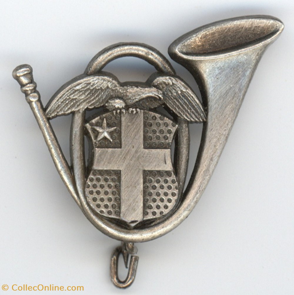 Insigne du 13° Bataillon de Chasseurs Alpins militaria medailles insignes insigne du 13 bataillon de chasseurs alpins